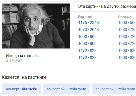 Результат поиска по картинке в Яндекс